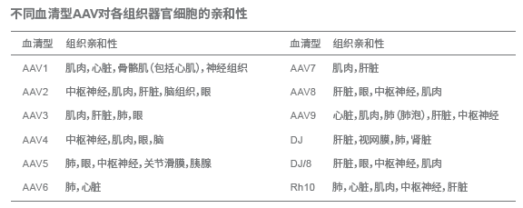 不同血清型AAV對各組織器官細胞的親和性